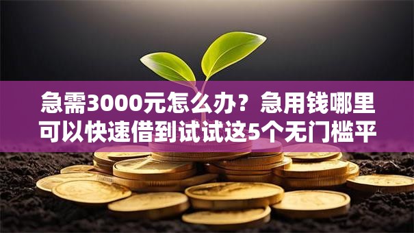 急需3000元怎么办?急用钱哪里可以快速借到试试这5个无门槛平台 急需3000元怎么办?急用钱哪里可以快速借到试试这5个无门槛平台