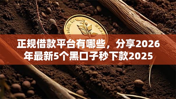 正规借款平台有哪些，分享2026年最新5个黑口子秒下款2025