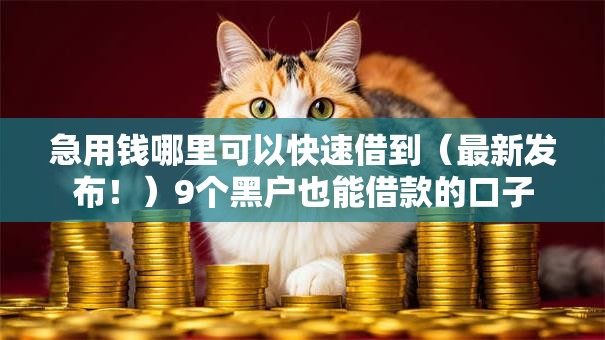 急用钱哪里可以快速借到(最新发布!)9个黑户也能借款的口子 急用钱哪里可以快速借到(最新发布!)9个黑户也能借款的口子