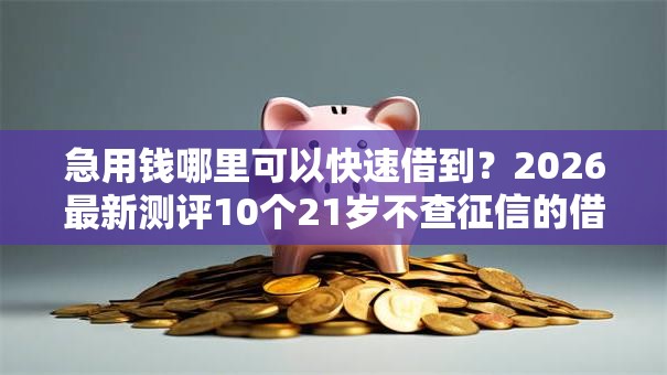 急用钱哪里可以快速借到？2026最新测评10个21岁不查征信的借款平台百分百通过