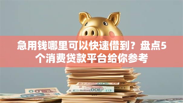 急用钱哪里可以快速借到?盘点5个消费贷款平台给你参考 急用钱哪里可以快速借到?盘点5个消费贷款平台给你参考