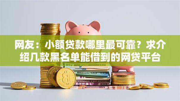 网友：小额贷款哪里最可靠？求介绍几款黑名单能借到的网贷平台