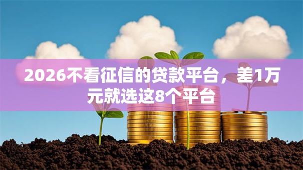 2026不看征信的贷款平台，差1万元就选这8个平台