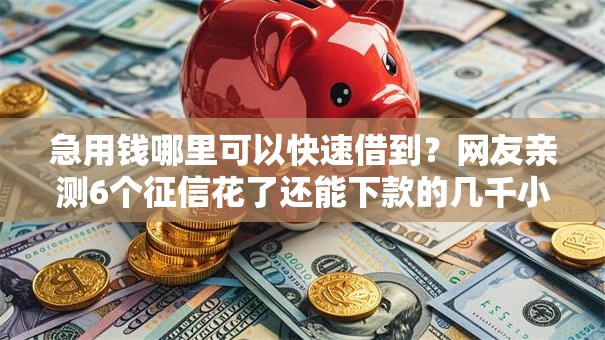 急用钱哪里可以快速借到?网友亲测6个征信花了还能下款的几千小额度平台盘点 急用钱哪里可以快速借到?网友亲测6个征信花了还能下款的几千小额度平台盘点