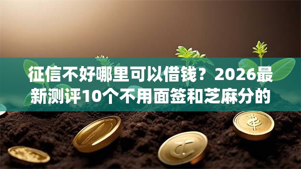 征信不好哪里可以借钱？2026最新测评10个不用面签和芝麻分的贷款app