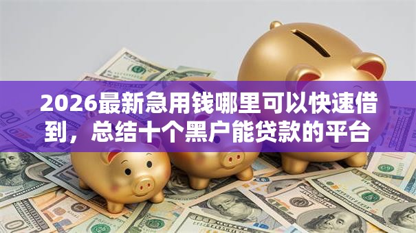 2026最新急用钱哪里可以快速借到，总结十个黑户能贷款的平台有什么！
