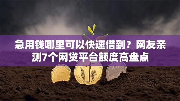 急用钱哪里可以快速借到?网友亲测7个网贷平台额度高盘点 急用钱哪里可以快速借到?网友亲测7个网贷平台额度高盘点