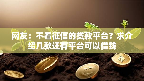 网友：不看征信的贷款平台？求介绍几款还有平台可以借钱