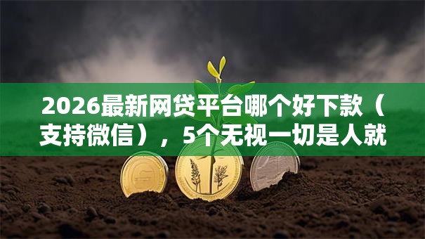 2026最新网贷平台哪个好下款(支持微信),5个无视一切是人就下款无私分享 2026最新网贷平台哪个好下款(支持微信),5个无视一切是人就下款无私分享