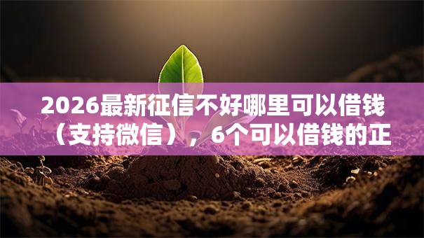 2026最新征信不好哪里可以借钱(支持微信),6个可以借钱的正规平台无私分享 2026最新征信不好哪里可以借钱(支持微信),6个可以借钱的正规平台无私分享
