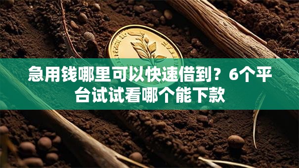急用钱哪里可以快速借到?6个平台试试看哪个能下款 急用钱哪里可以快速借到?6个平台试试看哪个能下款