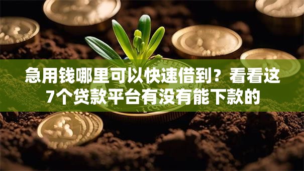急用钱哪里可以快速借到？看看这7个贷款平台有没有能下款的