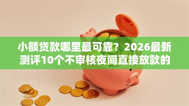 小额贷款哪里最可靠?2026最新测评10个不审核夜间直接放款的网贷软件 小额贷款哪里最可靠?2026最新测评10个不审核夜间直接放款的网贷软件