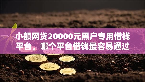 小额网贷20000元黑户专用借钱平台,哪个平台借钱最容易通过的5个平台介绍 小额网贷20000元黑户专用借钱平台,哪个平台借钱最容易通过的5个平台介绍