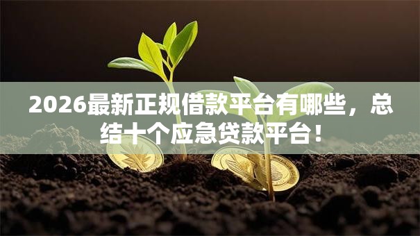 2026最新正规借款平台有哪些,总结十个应急贷款平台! 2026最新正规借款平台有哪些,总结十个应急贷款平台!