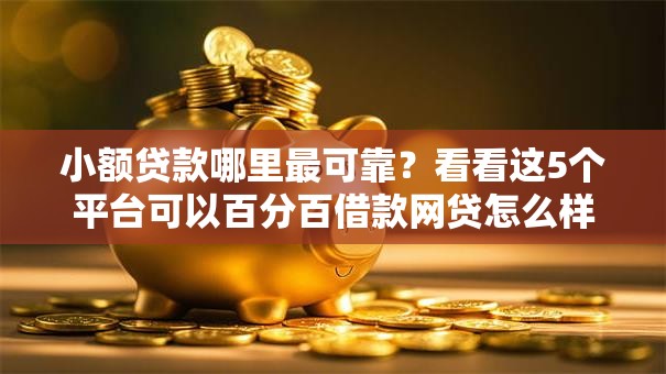 小额贷款哪里最可靠？看看这5个平台可以百分百借款网贷怎么样