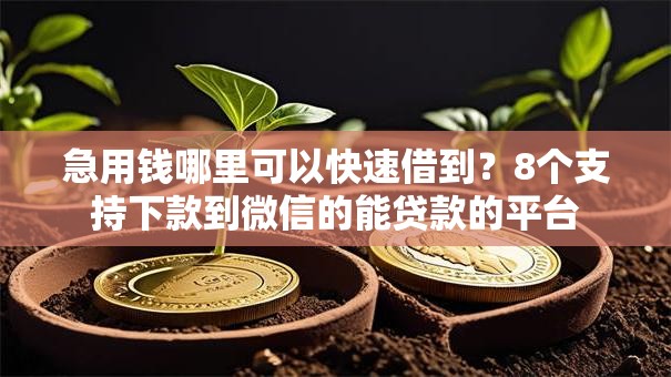急用钱哪里可以快速借到?8个支持下款到微信的能贷款的平台 急用钱哪里可以快速借到?8个支持下款到微信的能贷款的平台