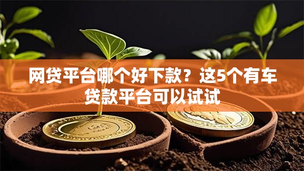 网贷平台哪个好下款？这5个有车贷款平台可以试试