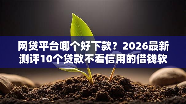 网贷平台哪个好下款?2026最新测评10个贷款不看信用的借钱软件 网贷平台哪个好下款?2026最新测评10个贷款不看信用的借钱软件