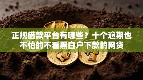 正规借款平台有哪些?十个逾期也不怕的不看黑白户下款的网贷 正规借款平台有哪些?十个逾期也不怕的不看黑白户下款的网贷
