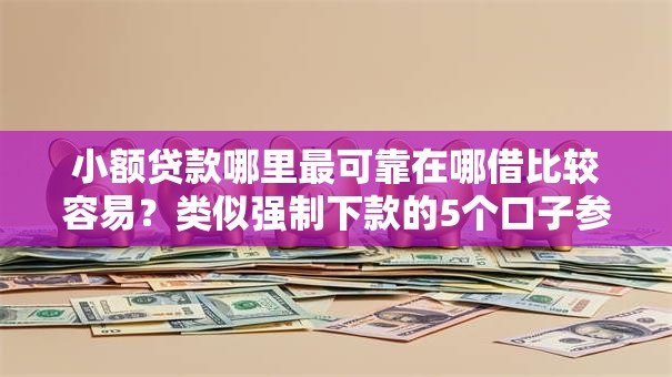 小额贷款哪里最可靠在哪借比较容易？类似强制下款的5个口子参考
