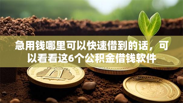 急用钱哪里可以快速借到的话，可以看看这6个公积金借钱软件