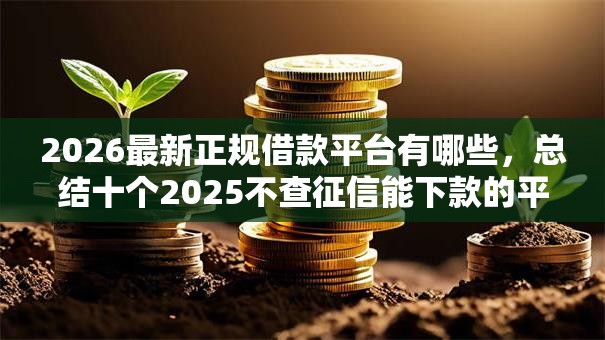 2026最新正规借款平台有哪些，总结十个2025不查征信能下款的平台！