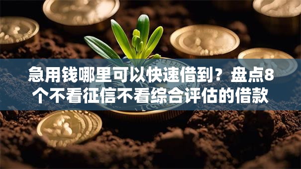 急用钱哪里可以快速借到?盘点8个不看征信不看综合评估的借款平台给你参考 急用钱哪里可以快速借到?盘点8个不看征信不看综合评估的借款平台给你参考