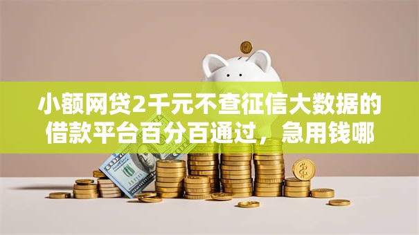 小额网贷2千元不查征信大数据的借款平台百分百通过，急用钱哪里可以快速借到的5个平台介绍