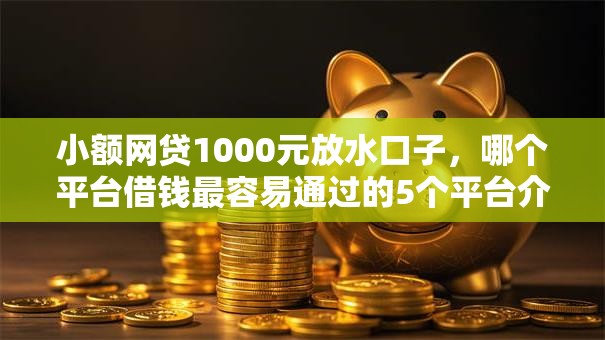 小额网贷1000元放水口子，哪个平台借钱最容易通过的5个平台介绍