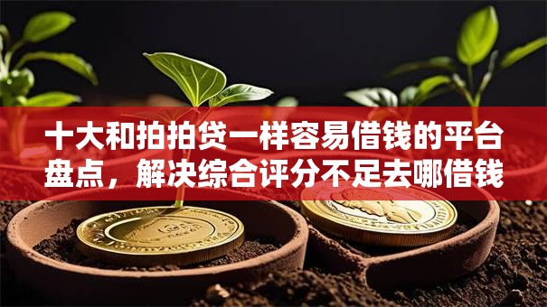 十大和拍拍贷一样容易借钱的平台盘点,解决综合评分不足去哪借钱的问题 十大和拍拍贷一样容易借钱的平台盘点,解决综合评分不足去哪借钱的问题