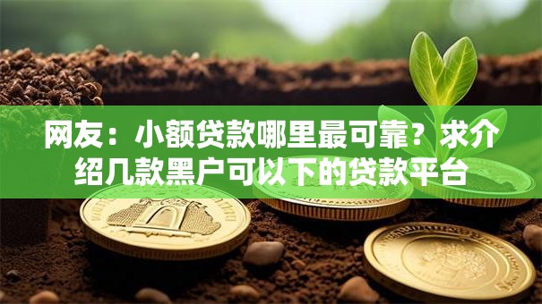 网友:小额贷款哪里最可靠?求介绍几款黑户可以下的贷款平台 网友:小额贷款哪里最可靠?求介绍几款黑户可以下的贷款平台
