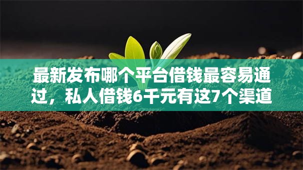 最新发布哪个平台借钱最容易通过，私人借钱6千元有这7个渠道