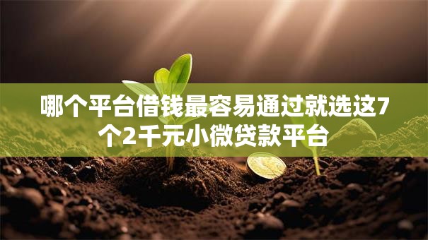 哪个平台借钱最容易通过就选这7个2千元小微贷款平台 哪个平台借钱最容易通过就选这7个2千元小微贷款平台