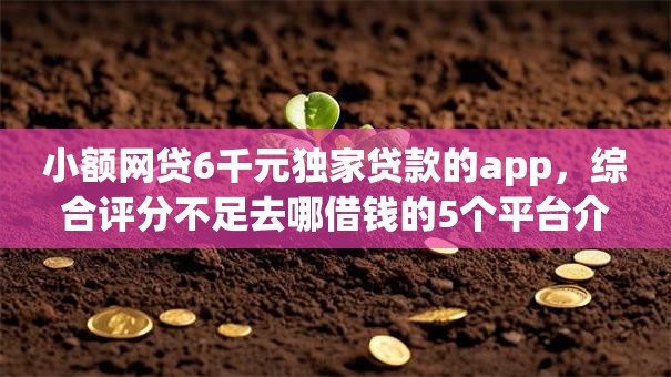 小额网贷6千元独家贷款的app，综合评分不足去哪借钱的5个平台介绍