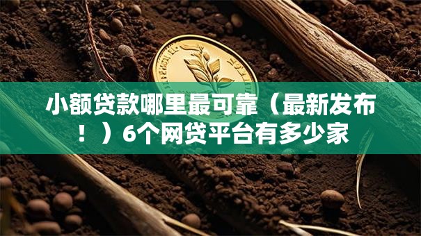 小额贷款哪里最可靠（最新发布！）6个网贷平台有多少家