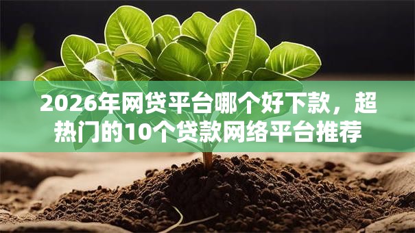 2026年网贷平台哪个好下款，超热门的10个贷款网络平台推荐
