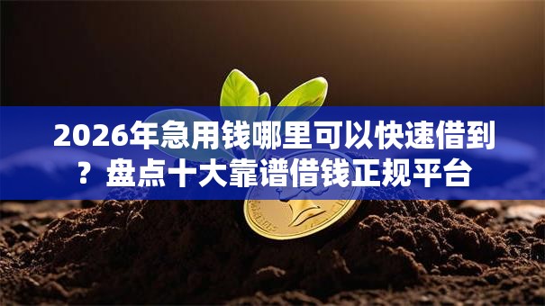 2026年急用钱哪里可以快速借到?盘点十大靠谱借钱正规平台 2026年急用钱哪里可以快速借到?盘点十大靠谱借钱正规平台