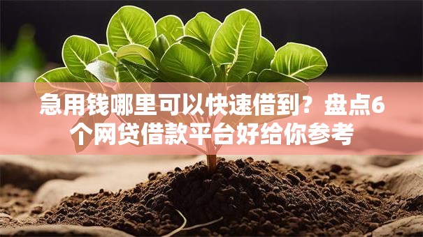 急用钱哪里可以快速借到？盘点6个网贷借款平台好给你参考