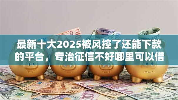 最新十大2025被风控了还能下款的平台，专治征信不好哪里可以借钱