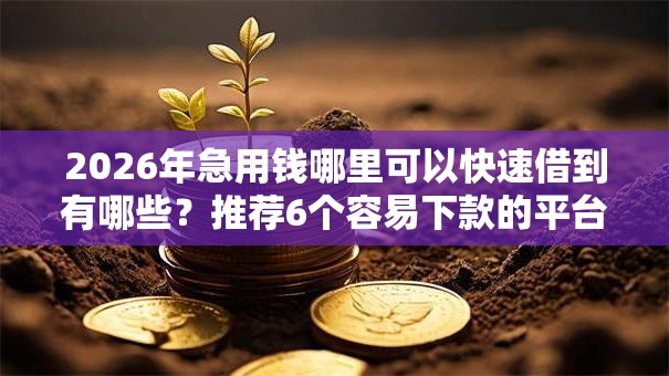2026年急用钱哪里可以快速借到有哪些?推荐6个容易下款的平台 2026年急用钱哪里可以快速借到有哪些?推荐6个容易下款的平台