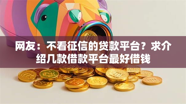 网友：不看征信的贷款平台？求介绍几款借款平台最好借钱