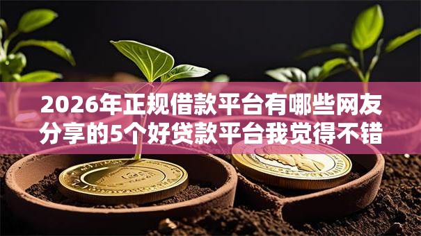 2026年正规借款平台有哪些网友分享的5个好贷款平台我觉得不错! 2026年正规借款平台有哪些网友分享的5个好贷款平台我觉得不错!