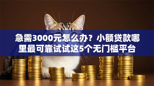急需3000元怎么办?小额贷款哪里最可靠试试这5个无门槛平台 急需3000元怎么办?小额贷款哪里最可靠试试这5个无门槛平台