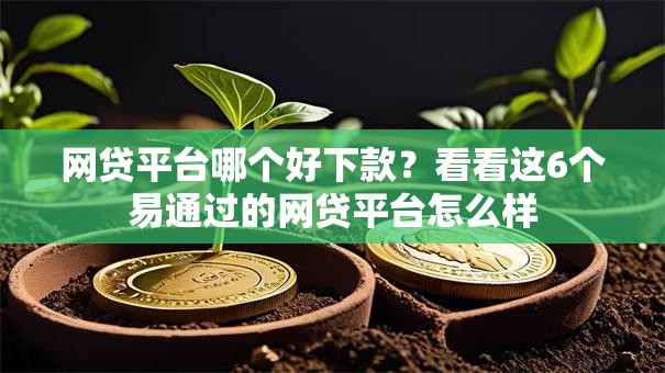 网贷平台哪个好下款?看看这6个易通过的网贷平台怎么样 网贷平台哪个好下款?看看这6个易通过的网贷平台怎么样