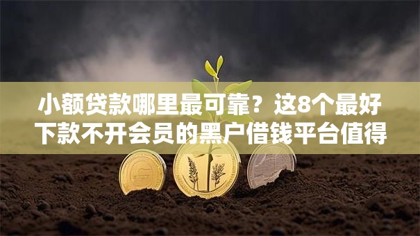 小额贷款哪里最可靠?这8个最好下款不开会员的黑户借钱平台值得一试 小额贷款哪里最可靠?这8个最好下款不开会员的黑户借钱平台值得一试