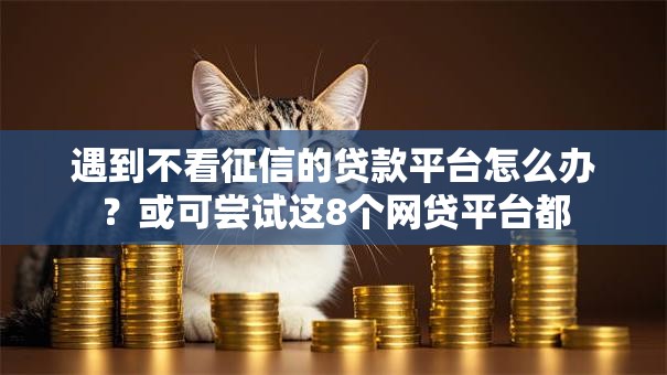 遇到不看征信的贷款平台怎么办？或可尝试这8个网贷平台都