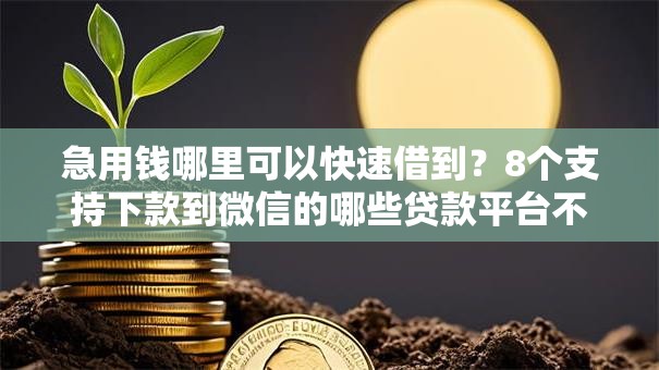 急用钱哪里可以快速借到?8个支持下款到微信的哪些贷款平台不看征信 急用钱哪里可以快速借到?8个支持下款到微信的哪些贷款平台不看征信
