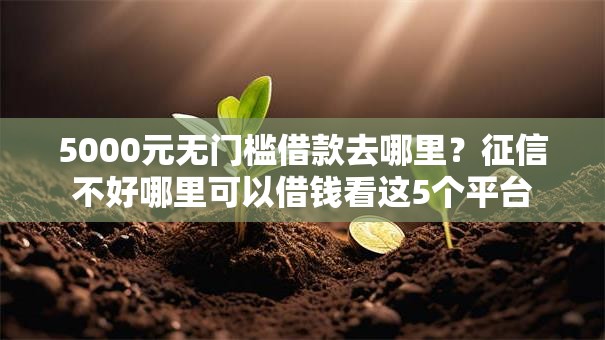 5000元无门槛借款去哪里?征信不好哪里可以借钱看这5个平台 5000元无门槛借款去哪里?征信不好哪里可以借钱看这5个平台