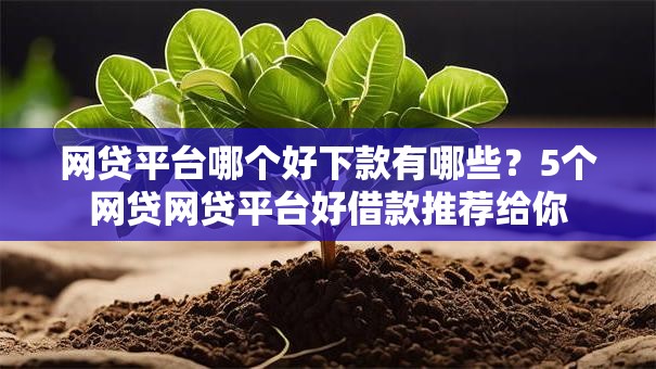 网贷平台哪个好下款有哪些？5个网贷网贷平台好借款推荐给你